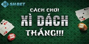 cách chơi xì dách luôn thắng