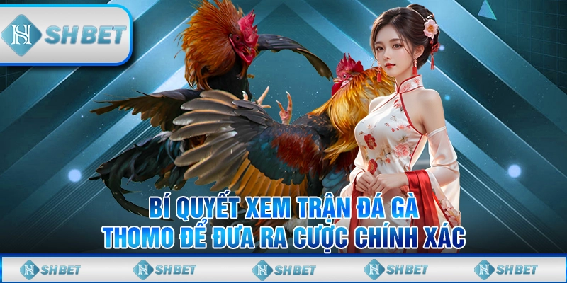đá gà thomo