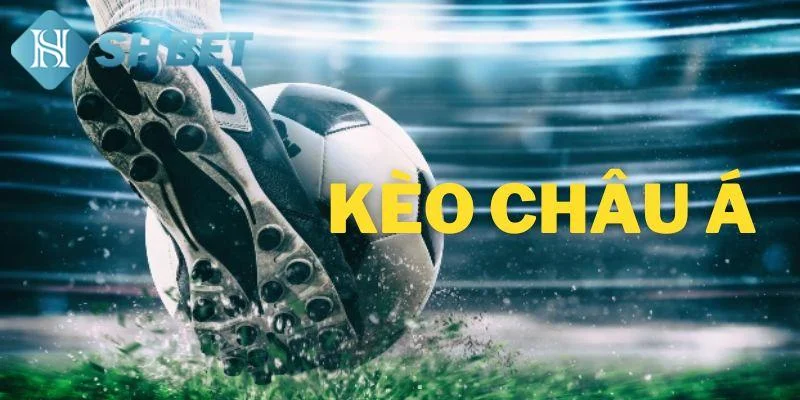 Tìm hiểu thông tin sơ lược về kèo châu á 2025