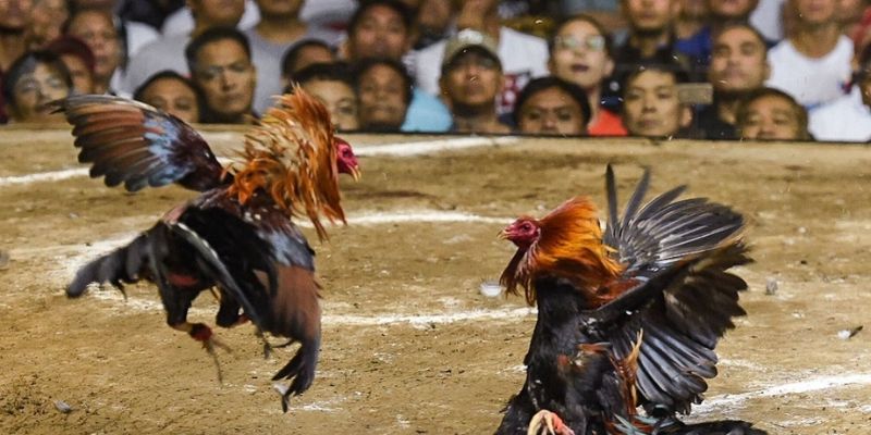 Xem xét kinh nghiệm và thành tích đối đầu hiệu quả để đưa ra quyết định chuẩn xác