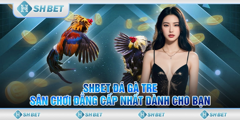 đá gà tre