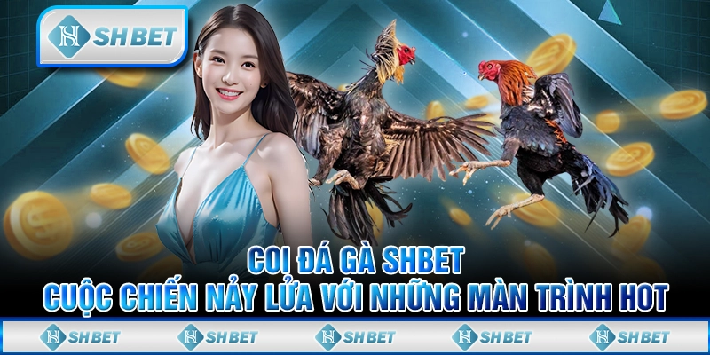 Xem Đá Gà SHBET – Cuộc Chiến Nảy Lửa Với Những Màn Trình Hot