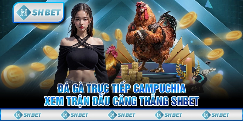 Đá Gà Trực Tiếp Campuchia - Trải Nghiệm Những Trận Đấu Căng Thẳng Tại SHBET
