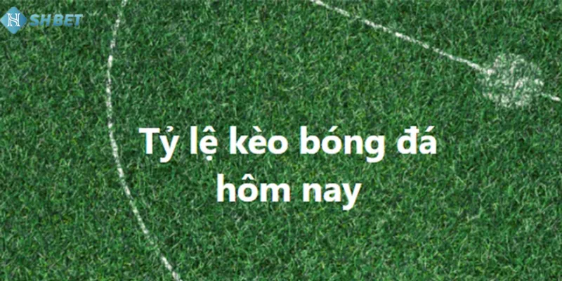Kèo châu Âu với nhiều ưu đãi
