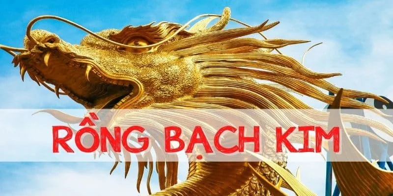 Những lưu ý quan trọng khi áp dụng soi cầu rồng bạch kim