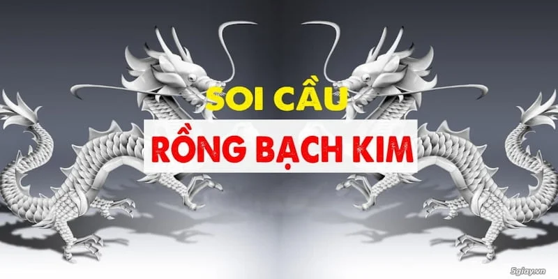 Tiện ích của việc soi cầu xổ số rồng bạch kim